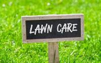 Affordable Lawn Care Services image 7